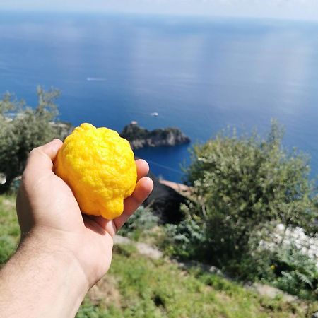 Villa Solecore Amalficoast Conca dei Marini Exterior foto