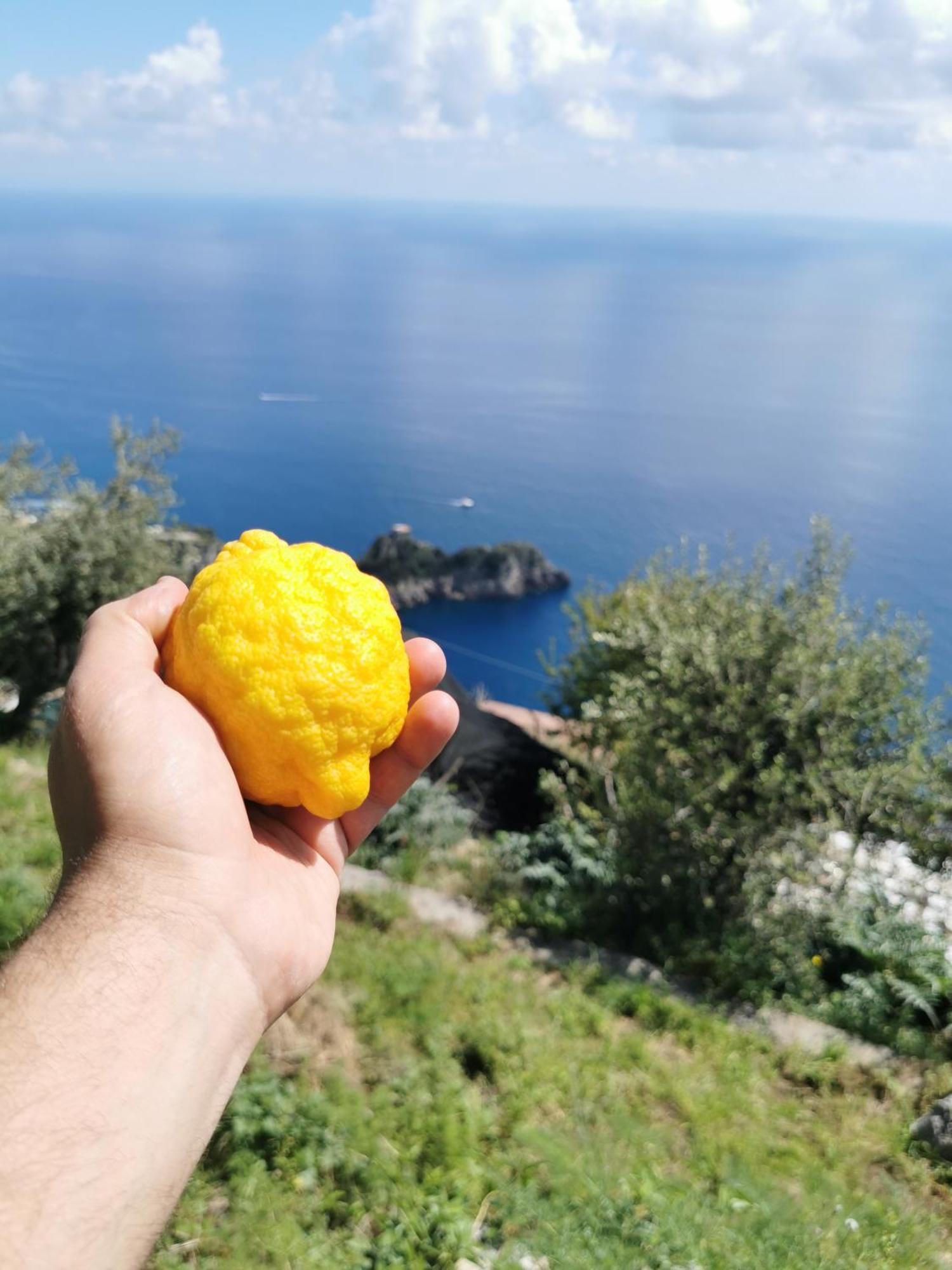 Villa Solecore Amalficoast Conca dei Marini Exterior foto