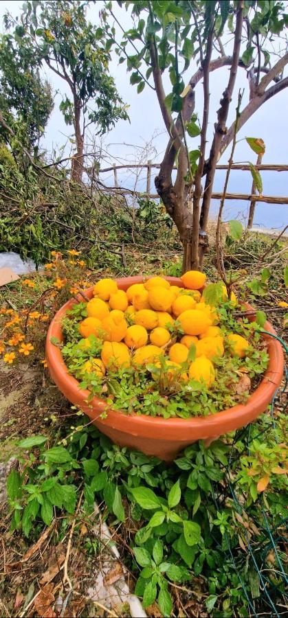 Villa Solecore Amalficoast Conca dei Marini Exterior foto